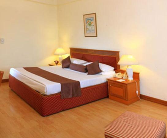 Hotel Hridey Inn New Delhi Room photo
